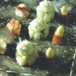 Gemarineerde asperges met Zeeuwse kreeft en parmezaanbonbons 